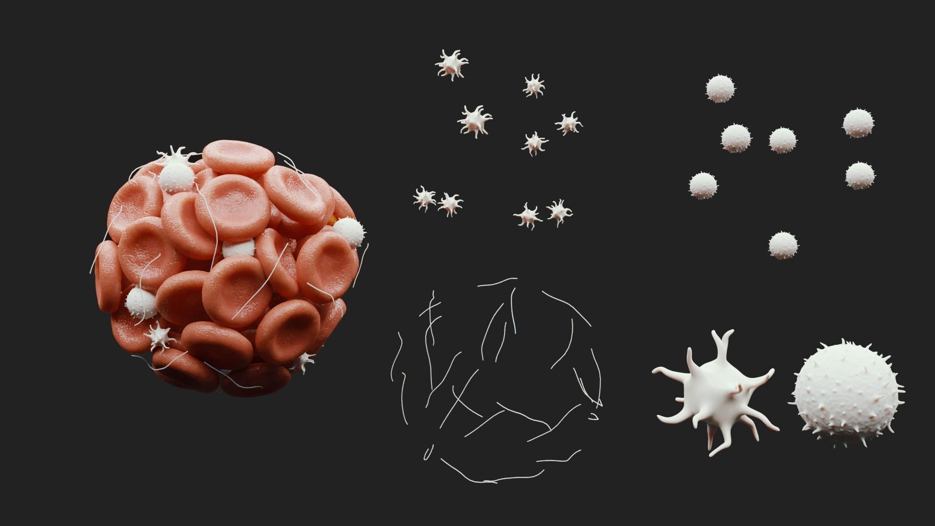 Blood Clot Thrombus 3D model_1