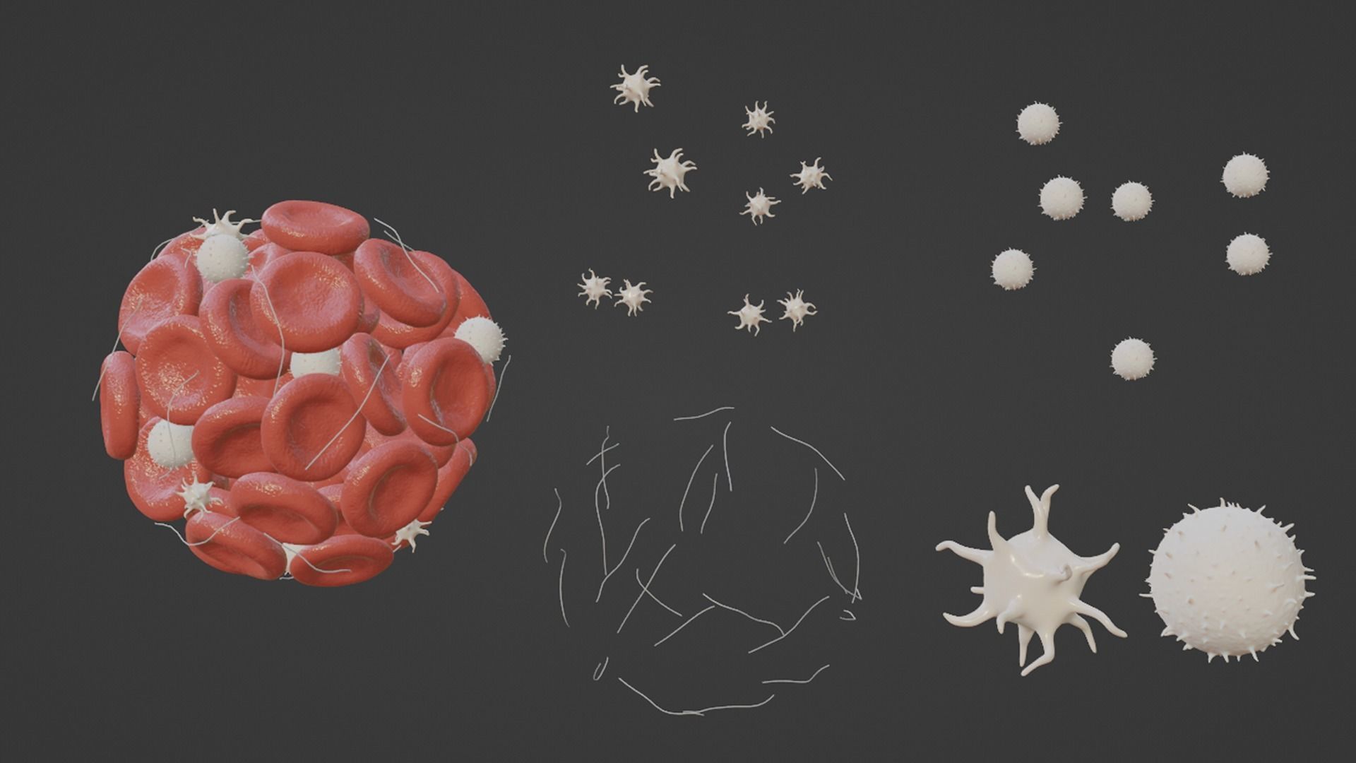 Blood Clot Thrombus 3D model_3