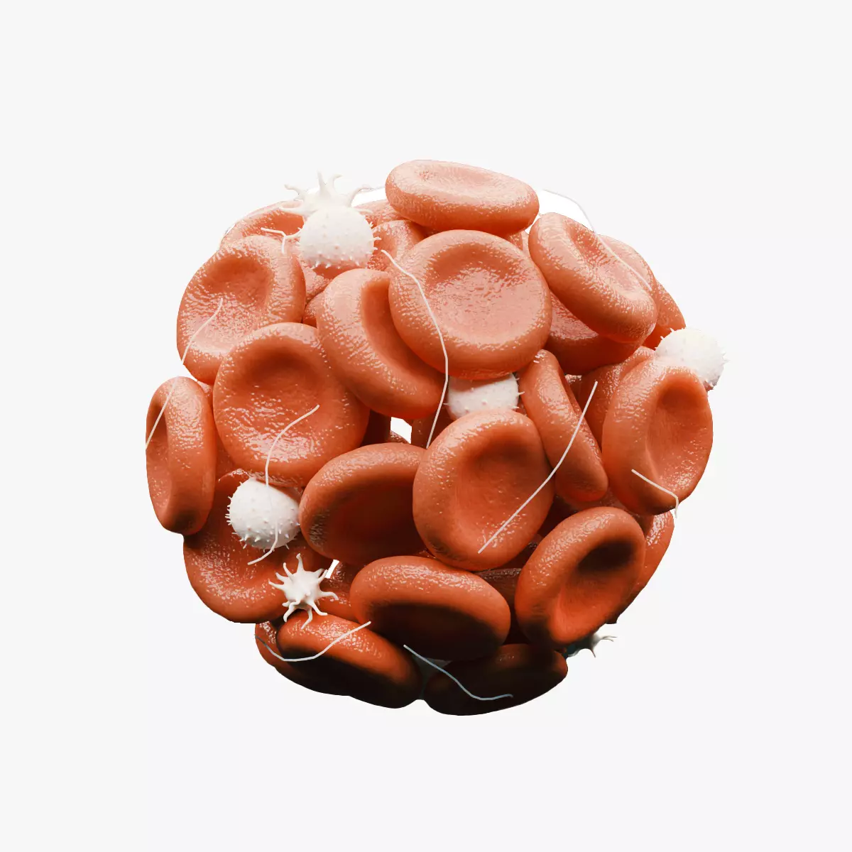 Blood Clot Thrombus 3D model_0