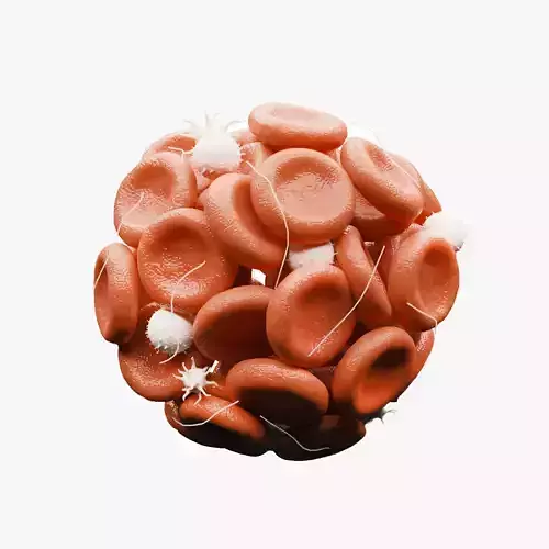  Blood Clot Thrombus 3D model