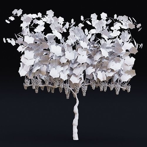 Vitis vinifera v2 3D model 6