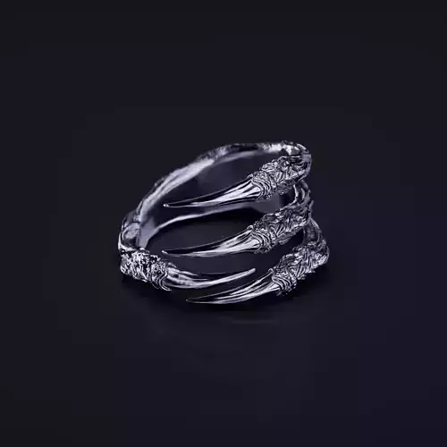 Claw Ring Witches Ring Dragon Ring 3D print model