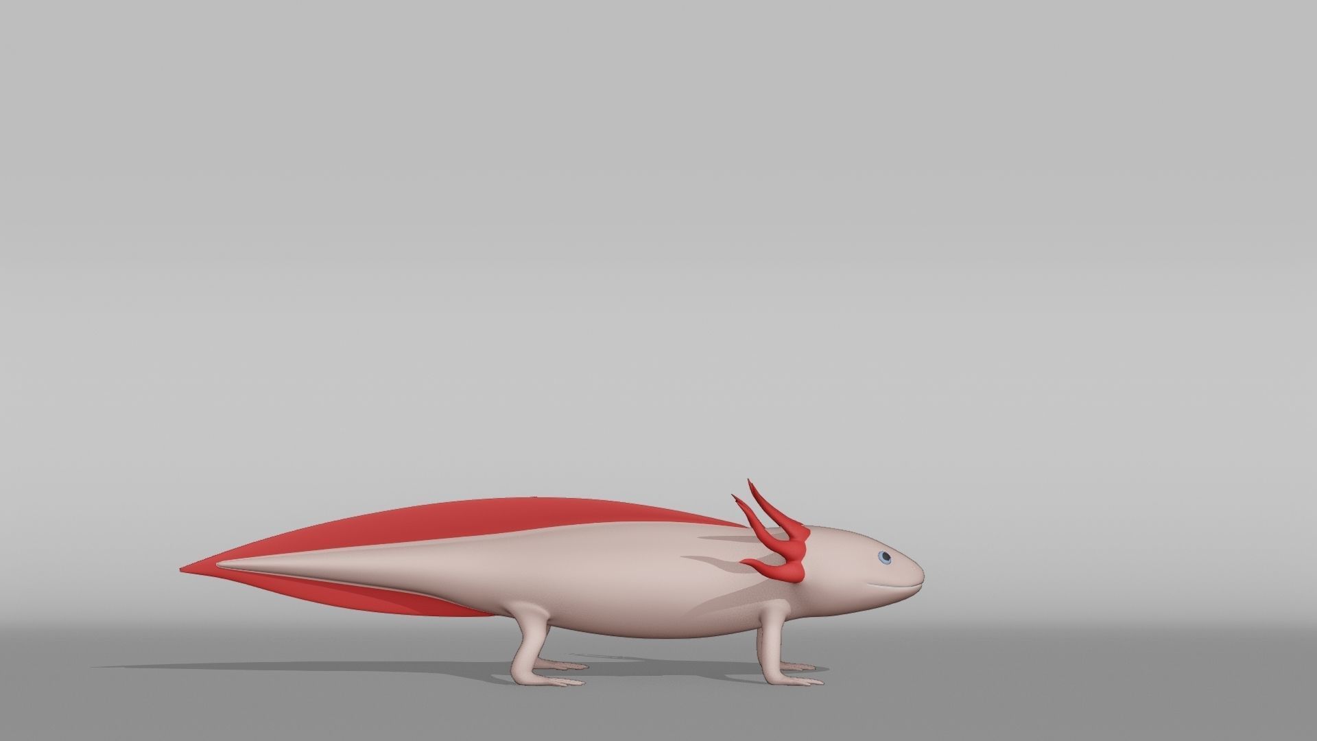 Axolotl Base Mesh Low-poly 3D model_8