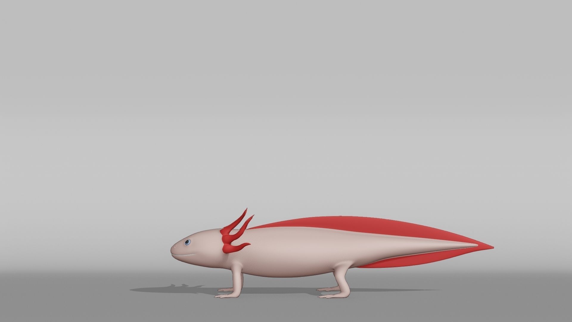 Axolotl Base Mesh Low-poly 3D model_10