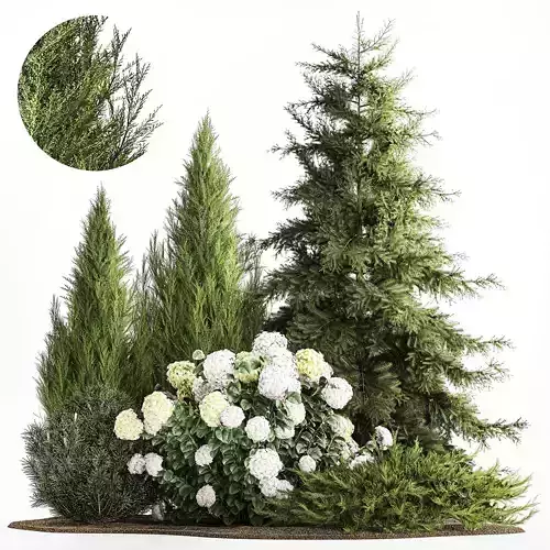 Garden Thuja Spruce Juniper And Hydrangea Bushes 1181 3D model
