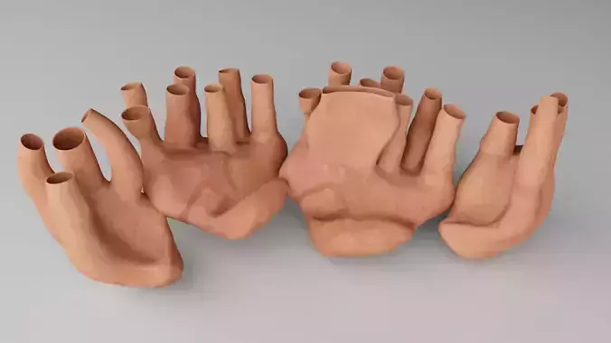 Endoplasmic Reticulum  3D model