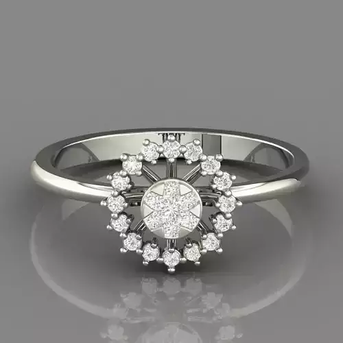 PRESSURE SETTING RING 19