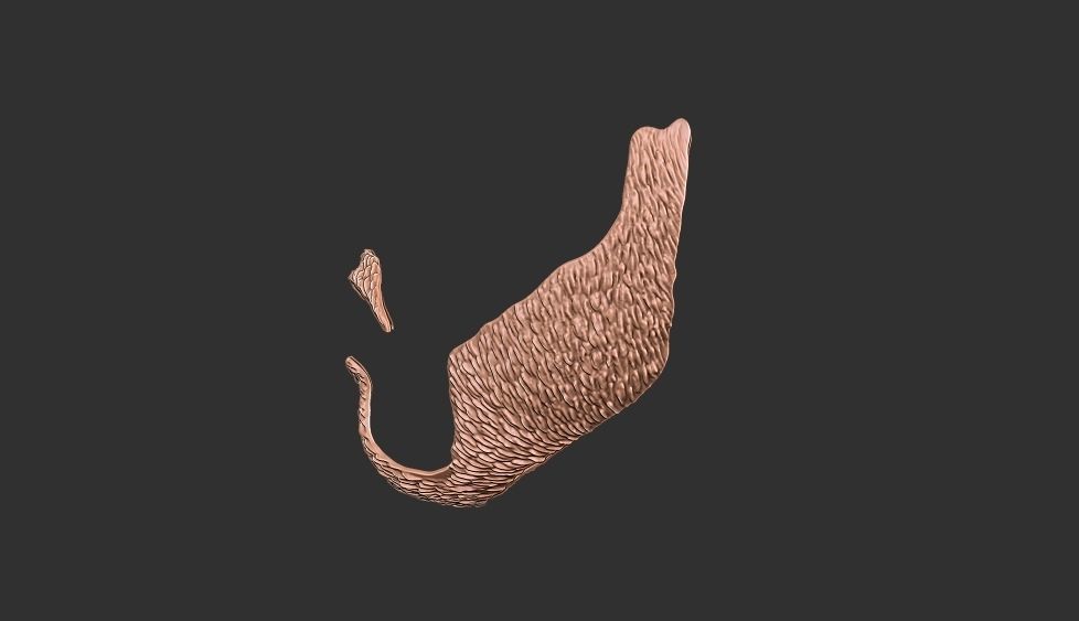 beard 3 3D print model_4