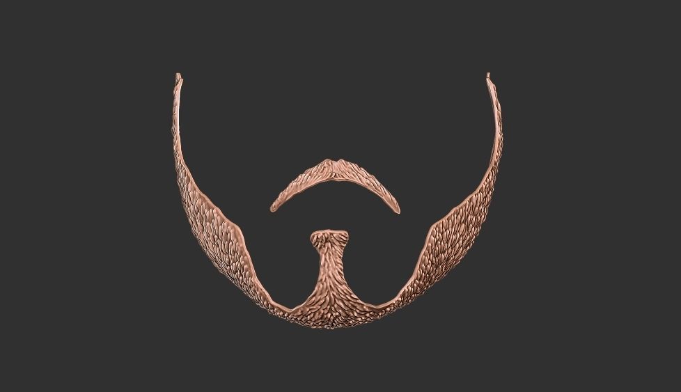 beard 3 3D print model_1