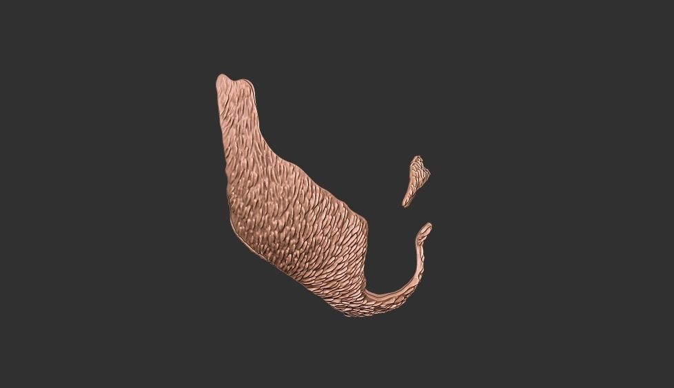 beard 3 3D print model_5