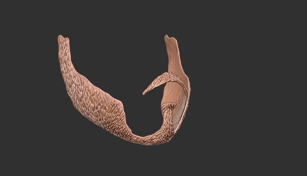 beard 3 3D print model_3