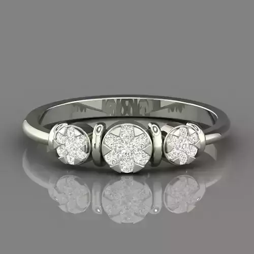 PRESSURE SETTING RING 24