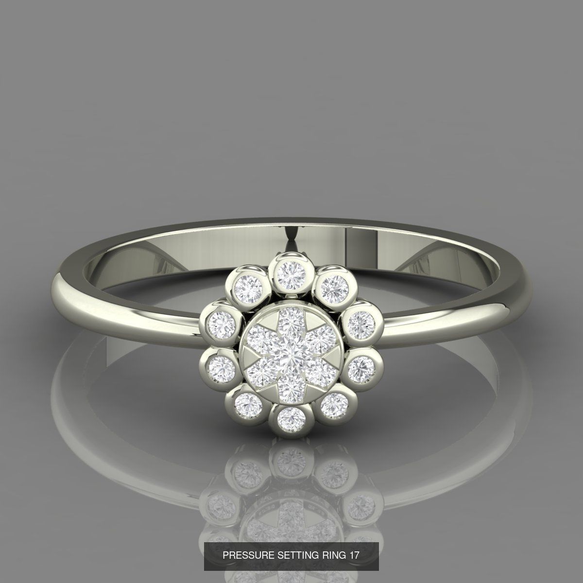 PRESSURE SETTING RINGS 3D Model Collection_17