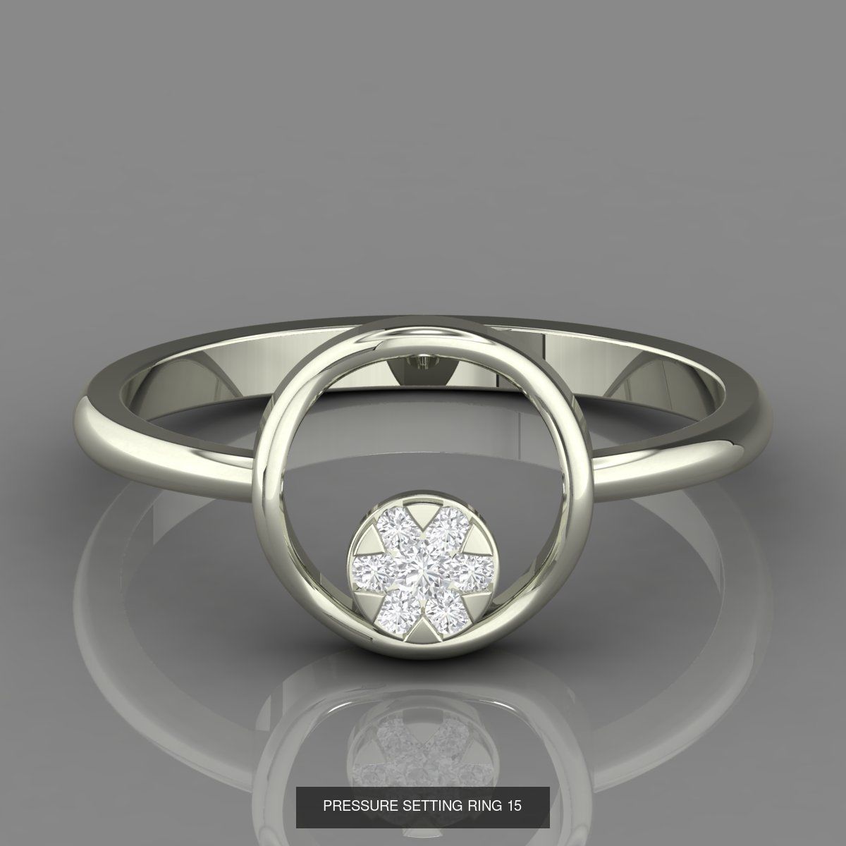 PRESSURE SETTING RINGS 3D Model Collection_15