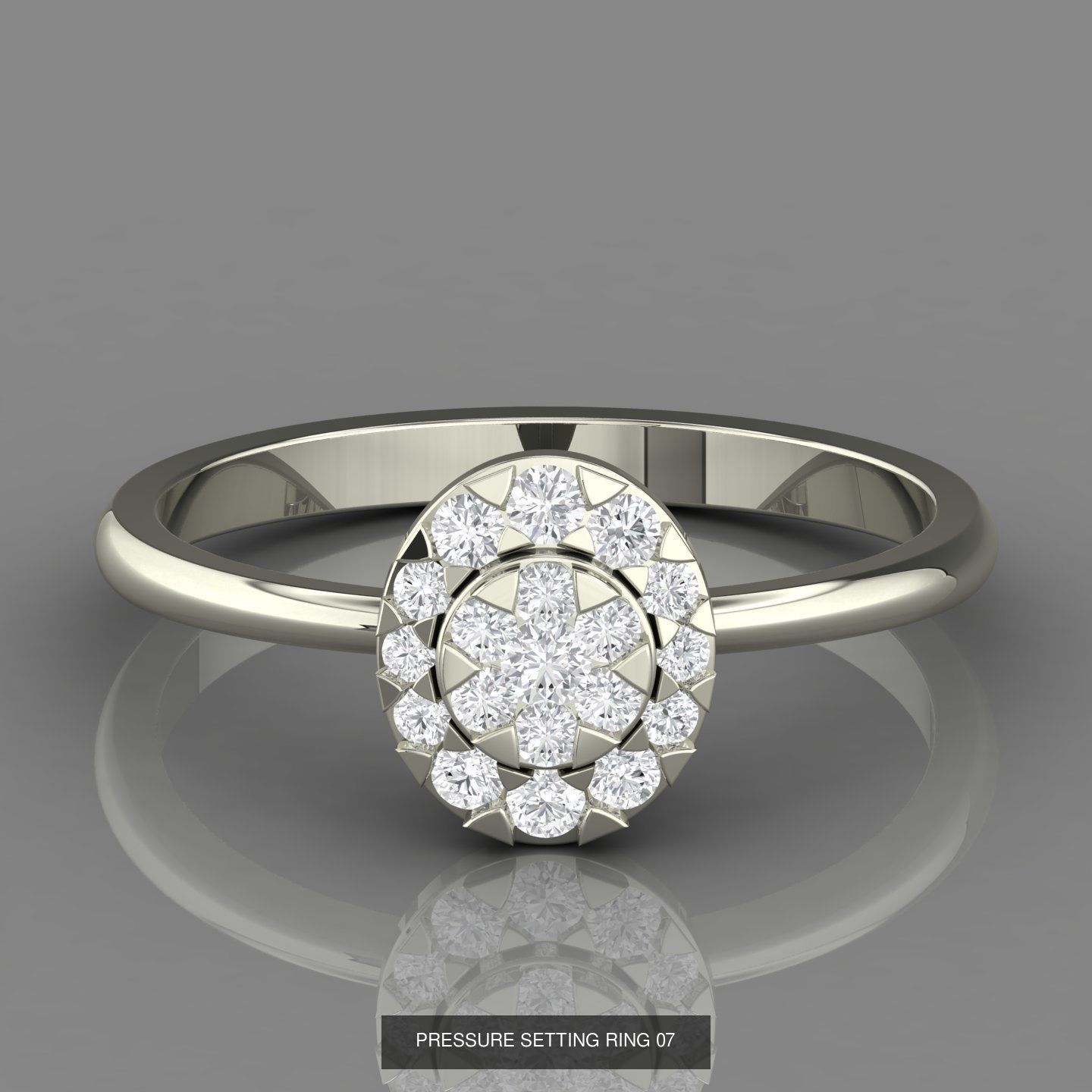 PRESSURE SETTING RINGS 3D Model Collection_7