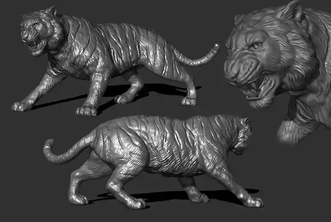 Tiger attack 3D print model