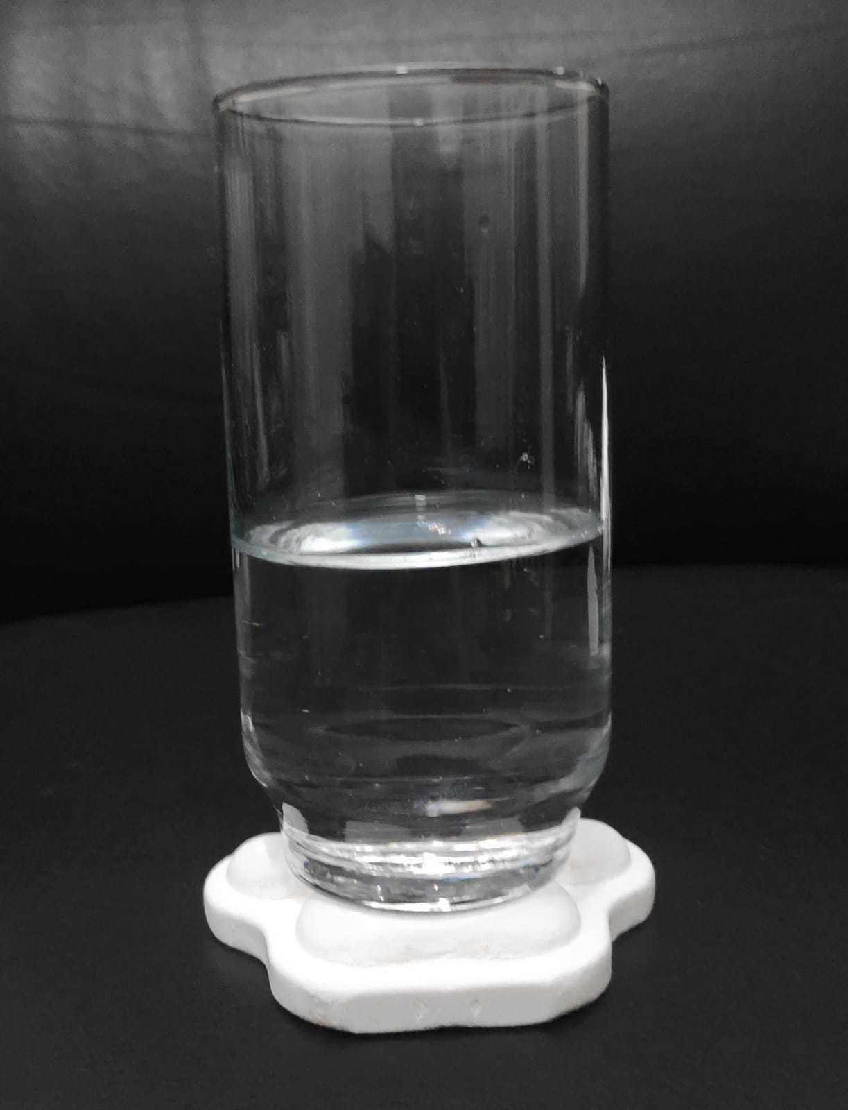 Paw Coaster 3D print model_14