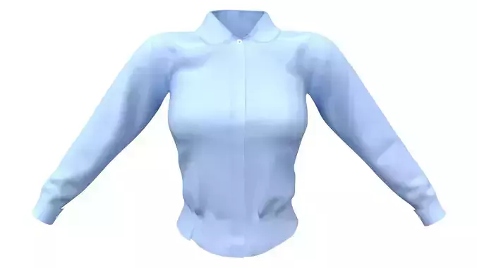 Female Blue Formal Long Sleeves Tucked In Shirt