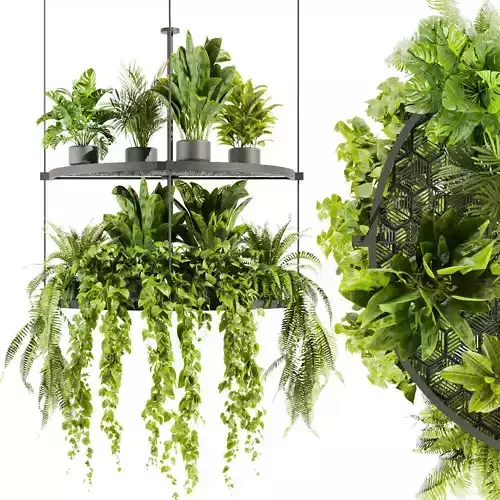 Collection plant vol 446 - hanging - ampelous - palm - pothos 3D model