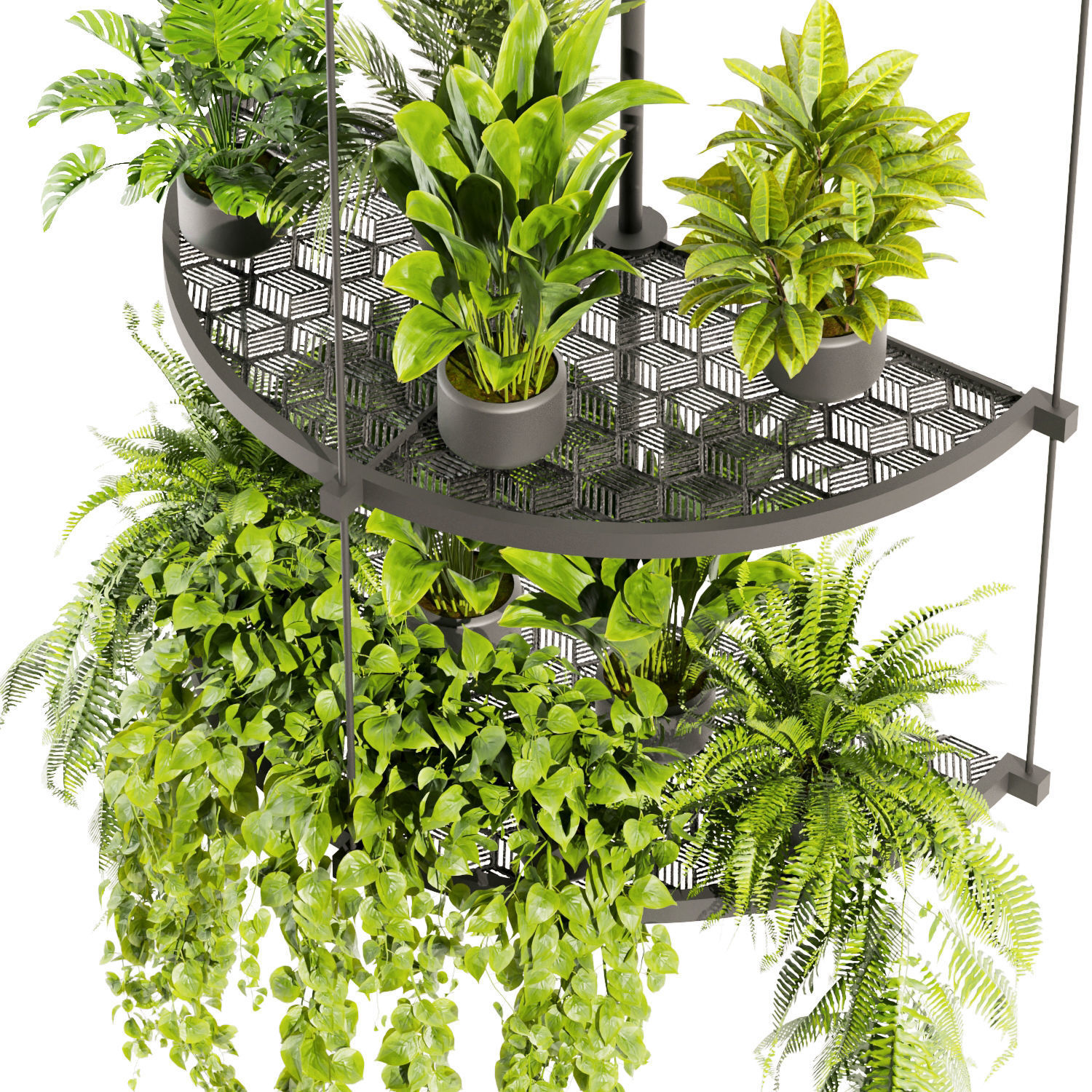 Collection plant vol 446 - hanging - ampelous - palm - pothos 3D model_2