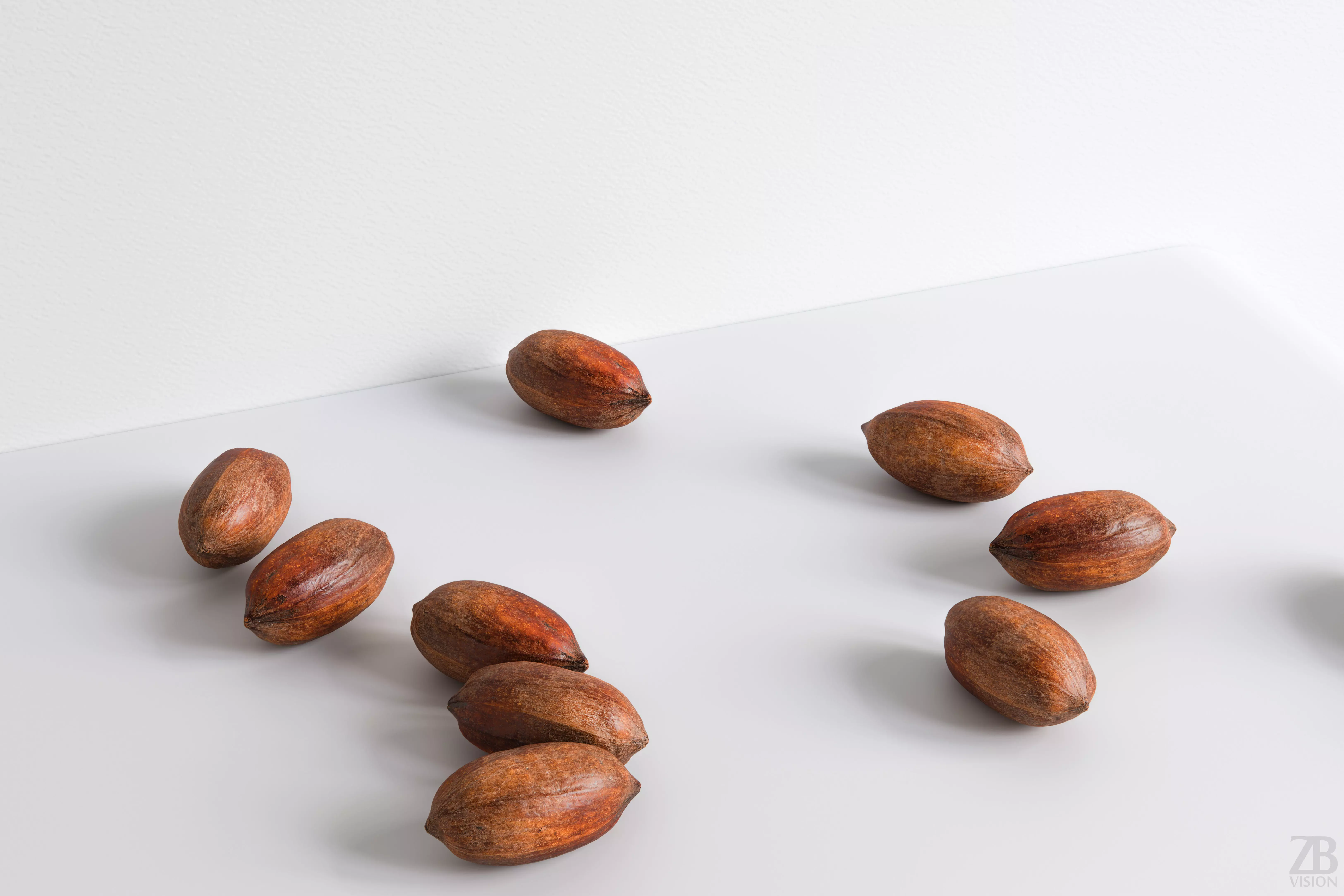 Pecan 3D model