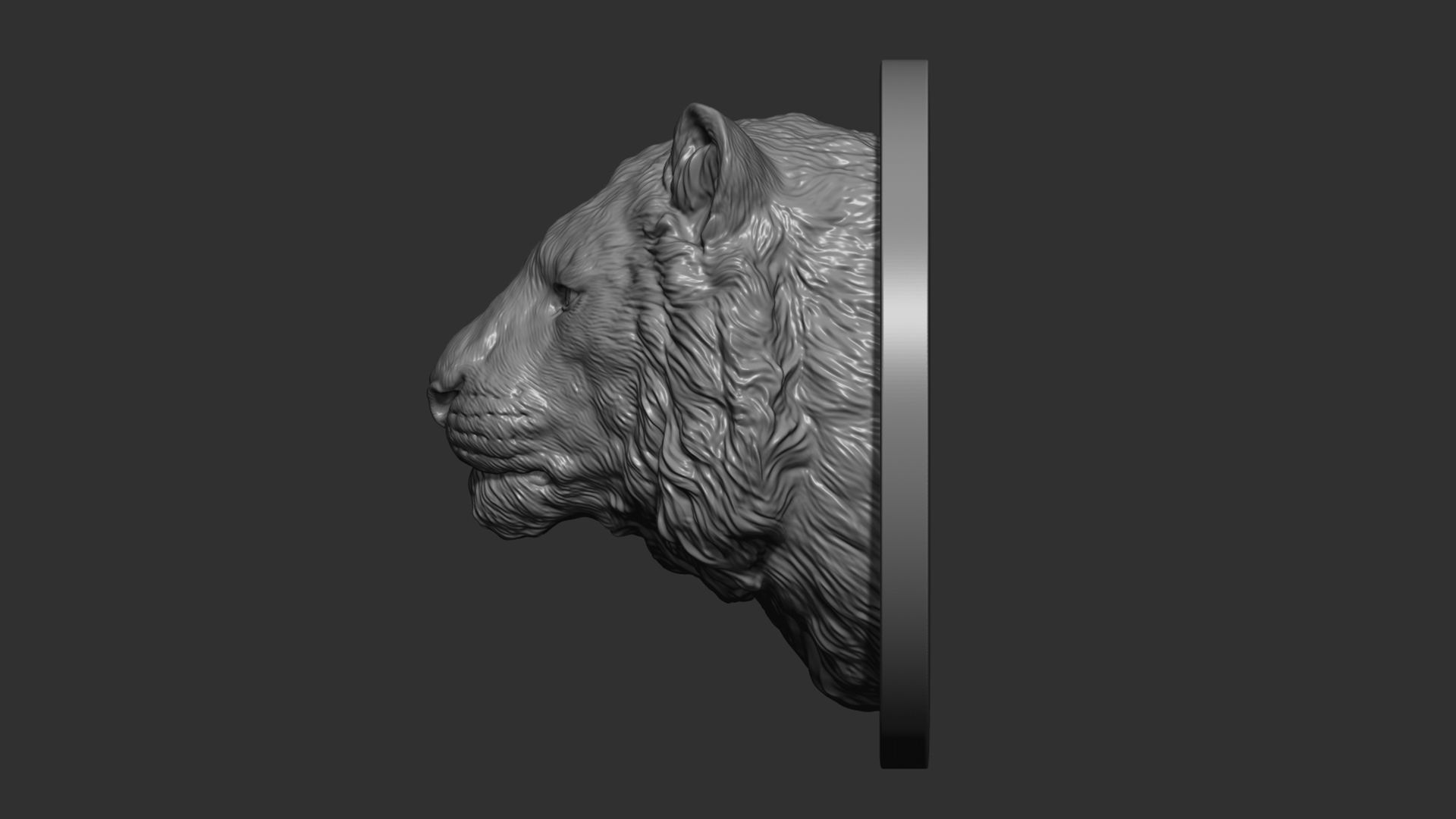 Tiger head  bust 3D print model_7