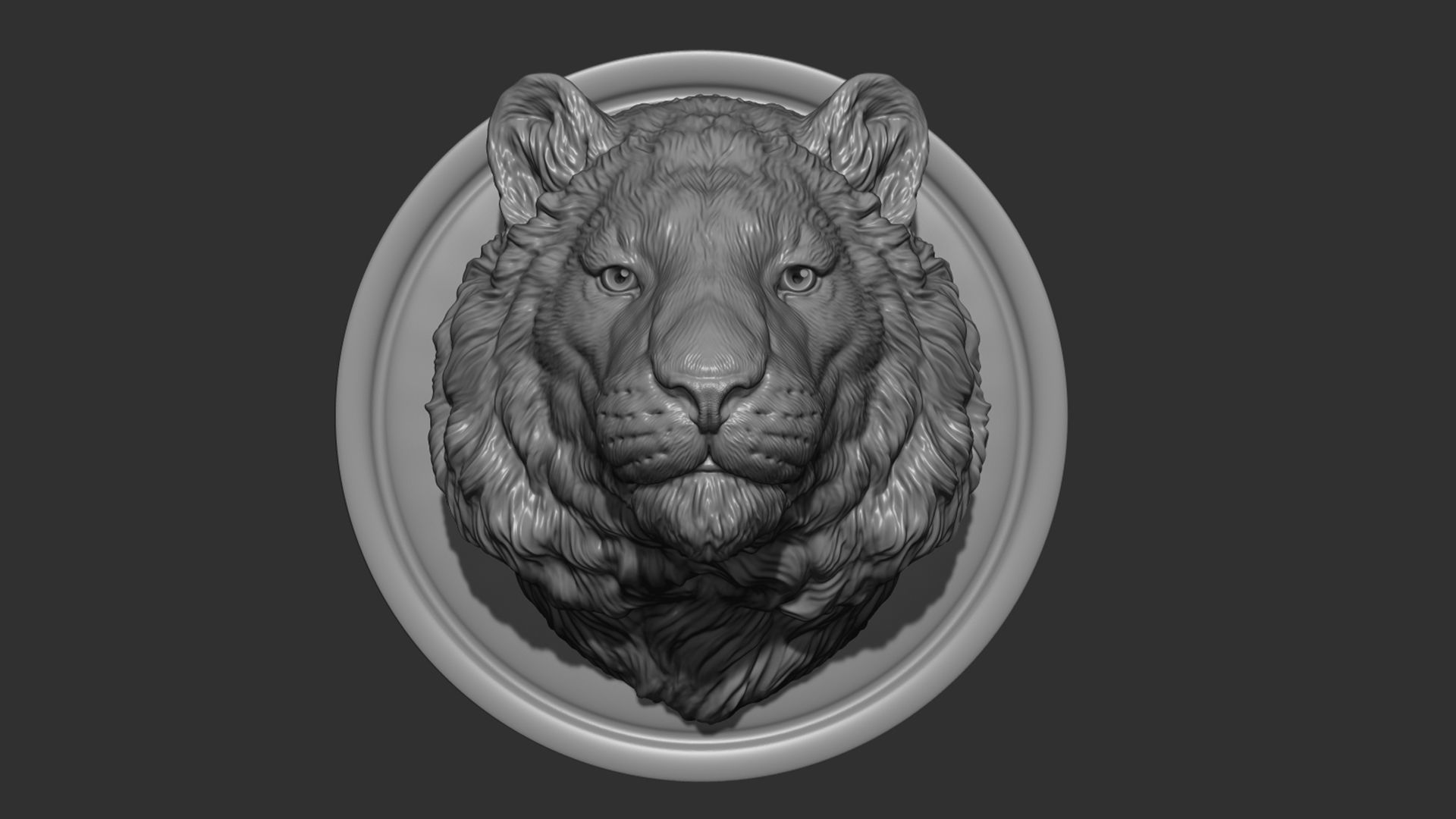 Tiger head  bust 3D print model_1