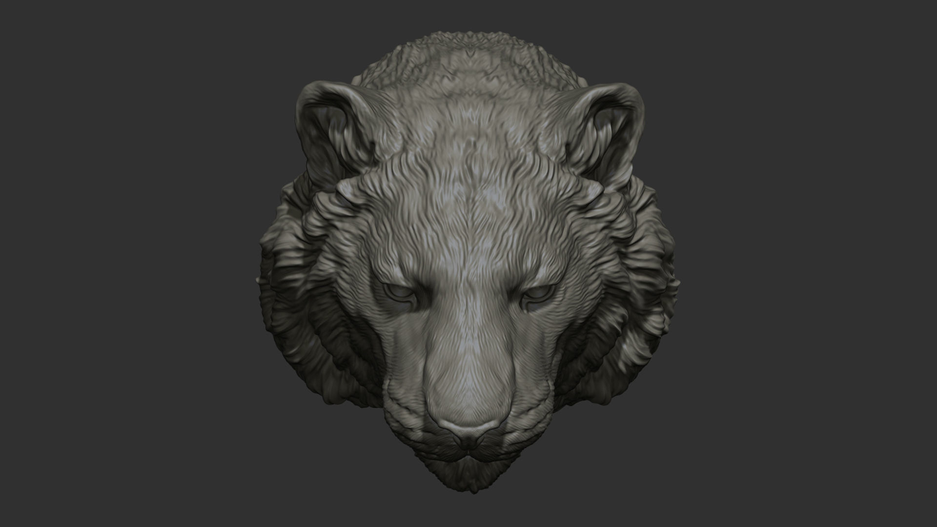 Tiger head  bust 3D print model_18