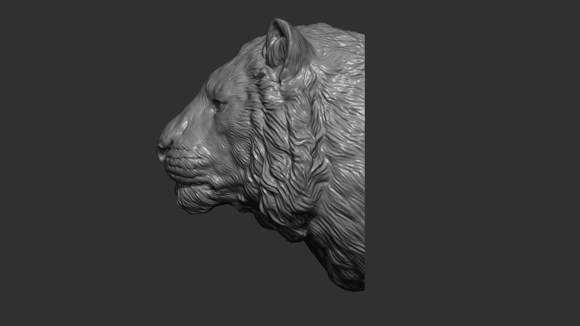 Tiger head  bust 3D print model_8