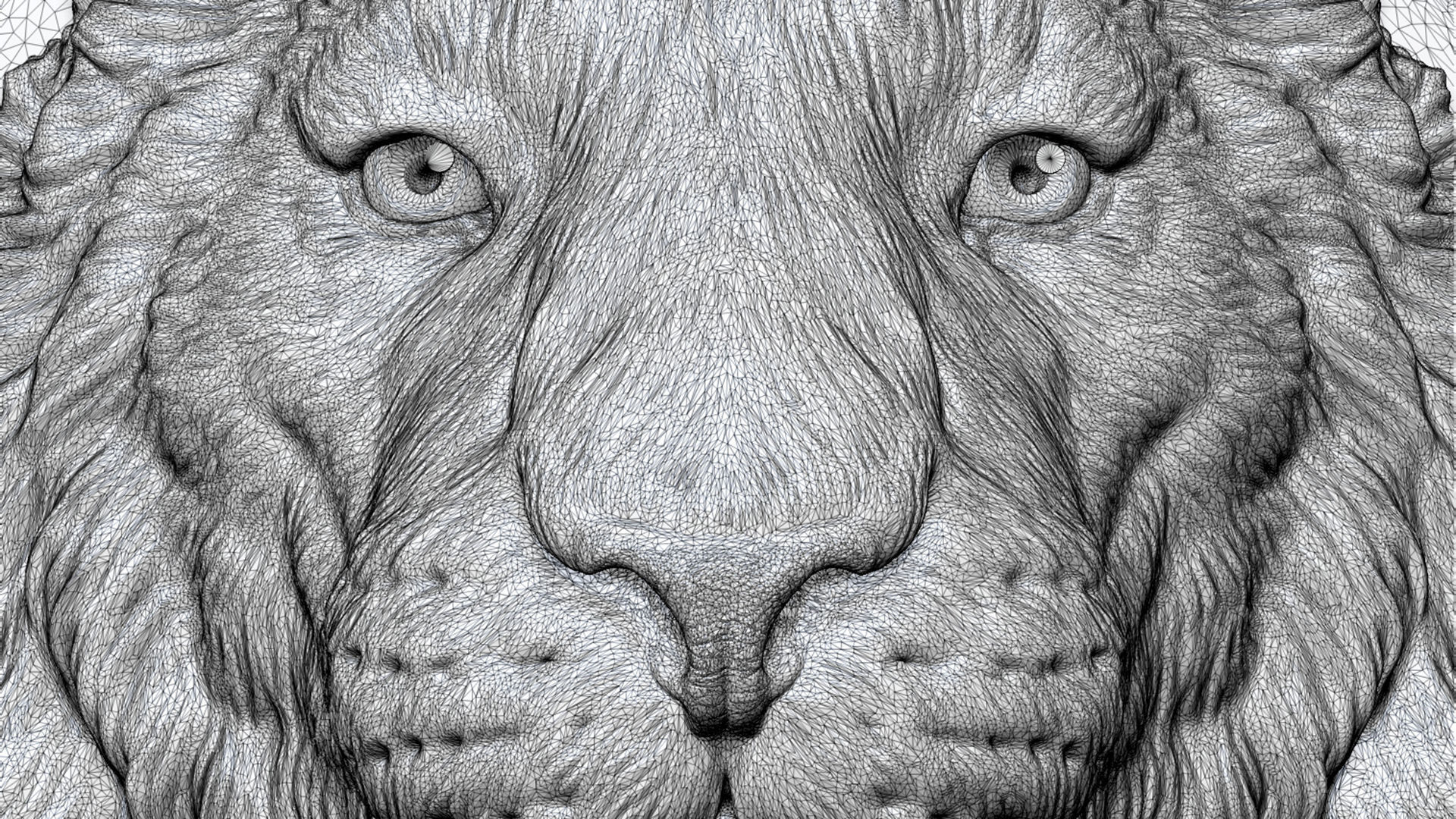 Tiger head  bust 3D print model_19