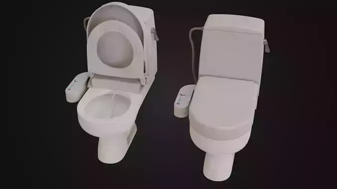 Japanese Toilet Bidet 01