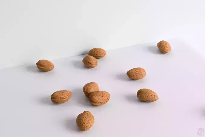 Almond 3D model