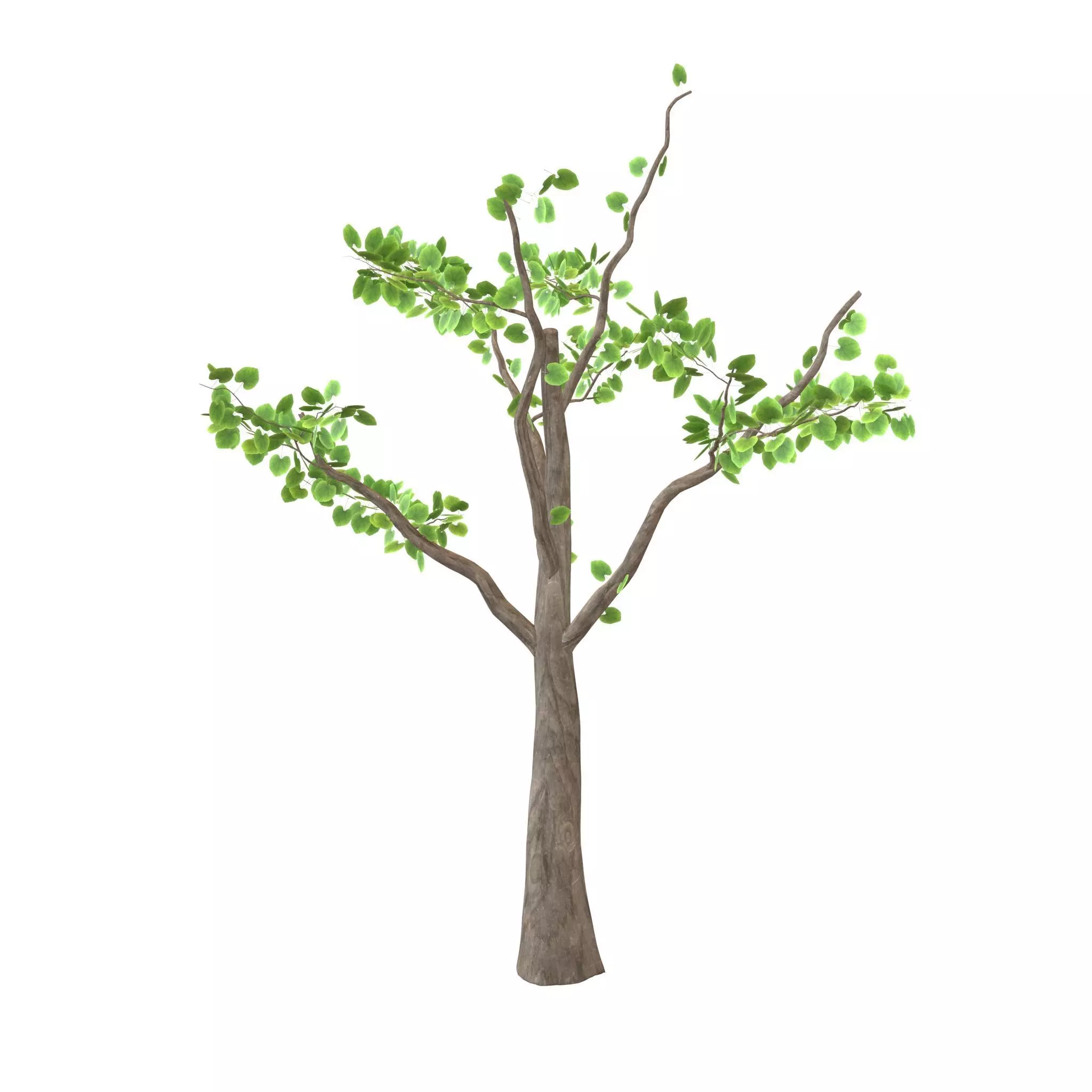 Tree v1 001 Free low-poly 3D model