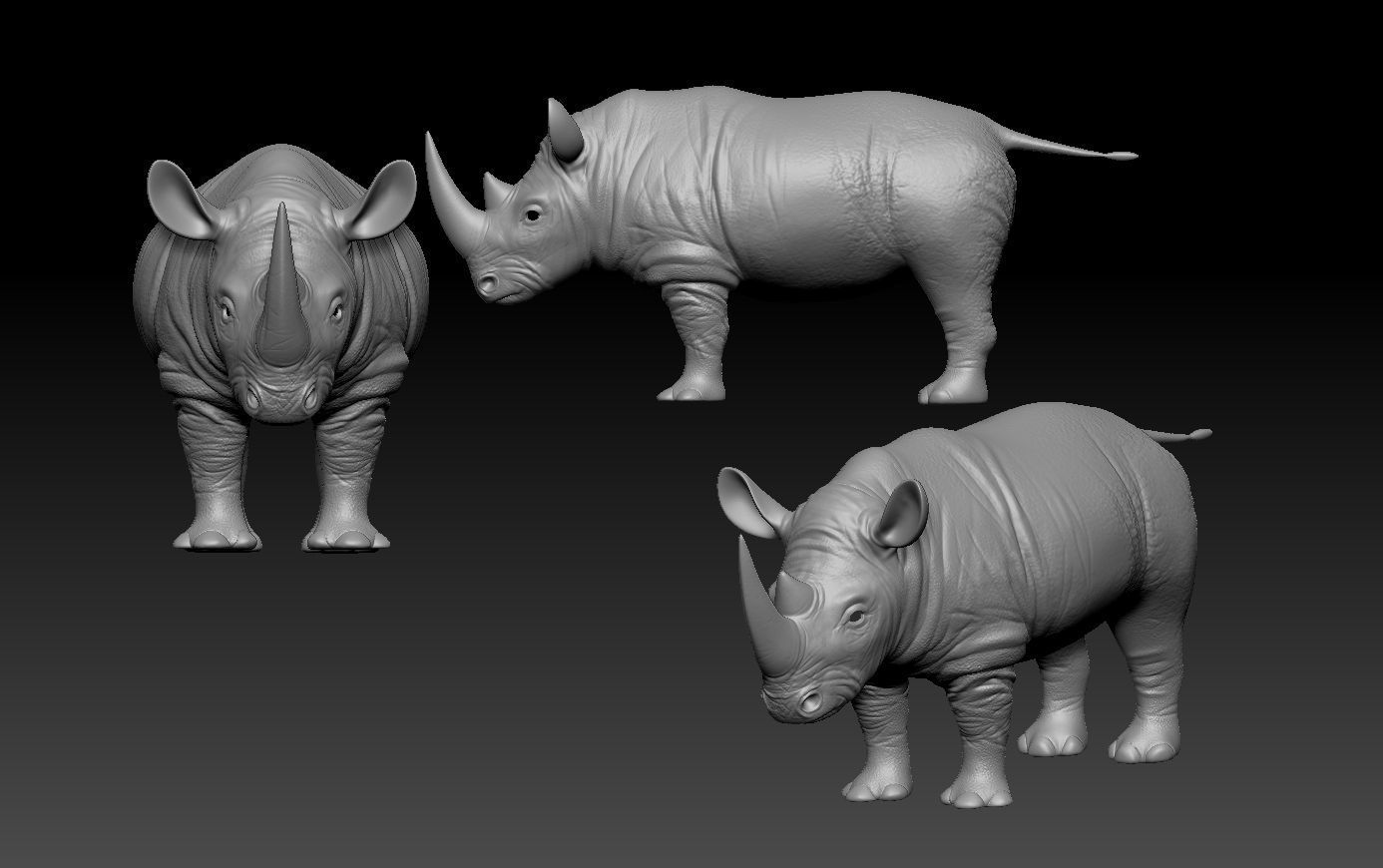 Stylized Rhino 3D model_3