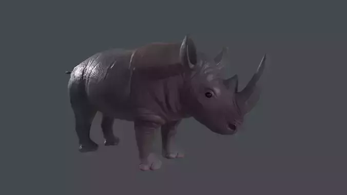 Stylized Rhino