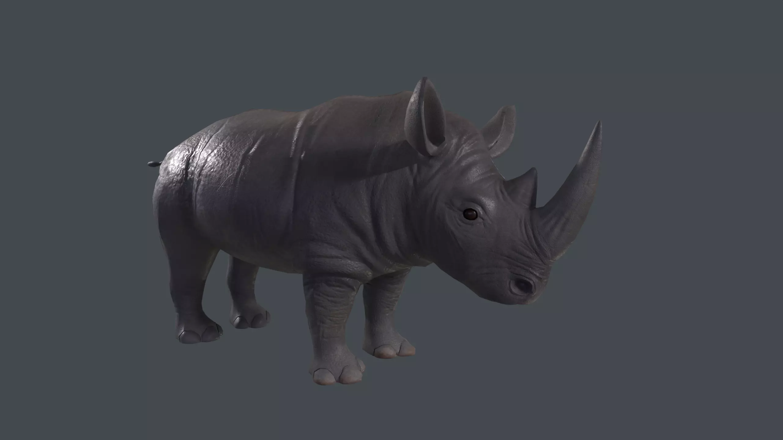 Stylized Rhino 3D model_0