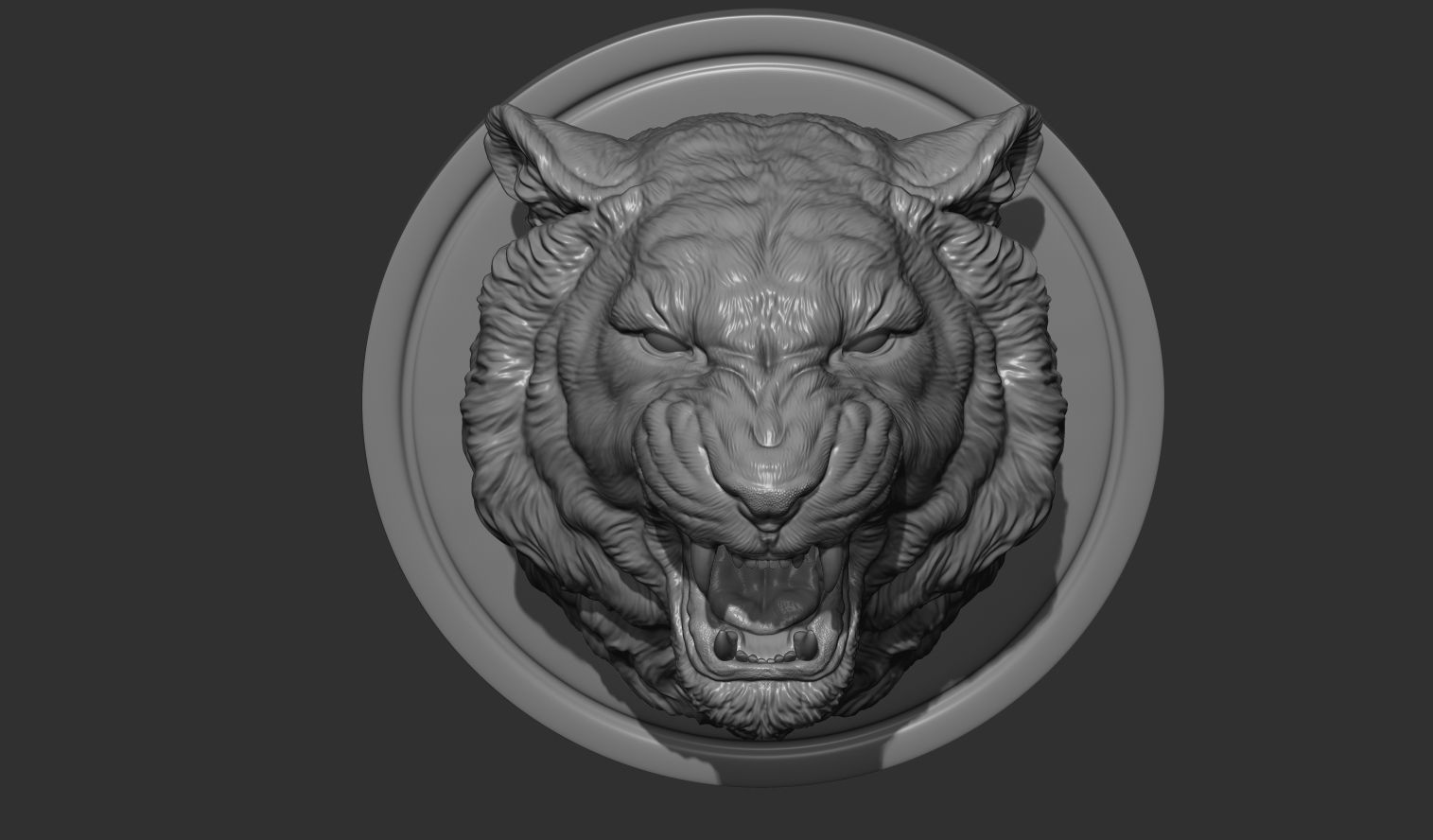 Tiger grin roar 3D print model_3