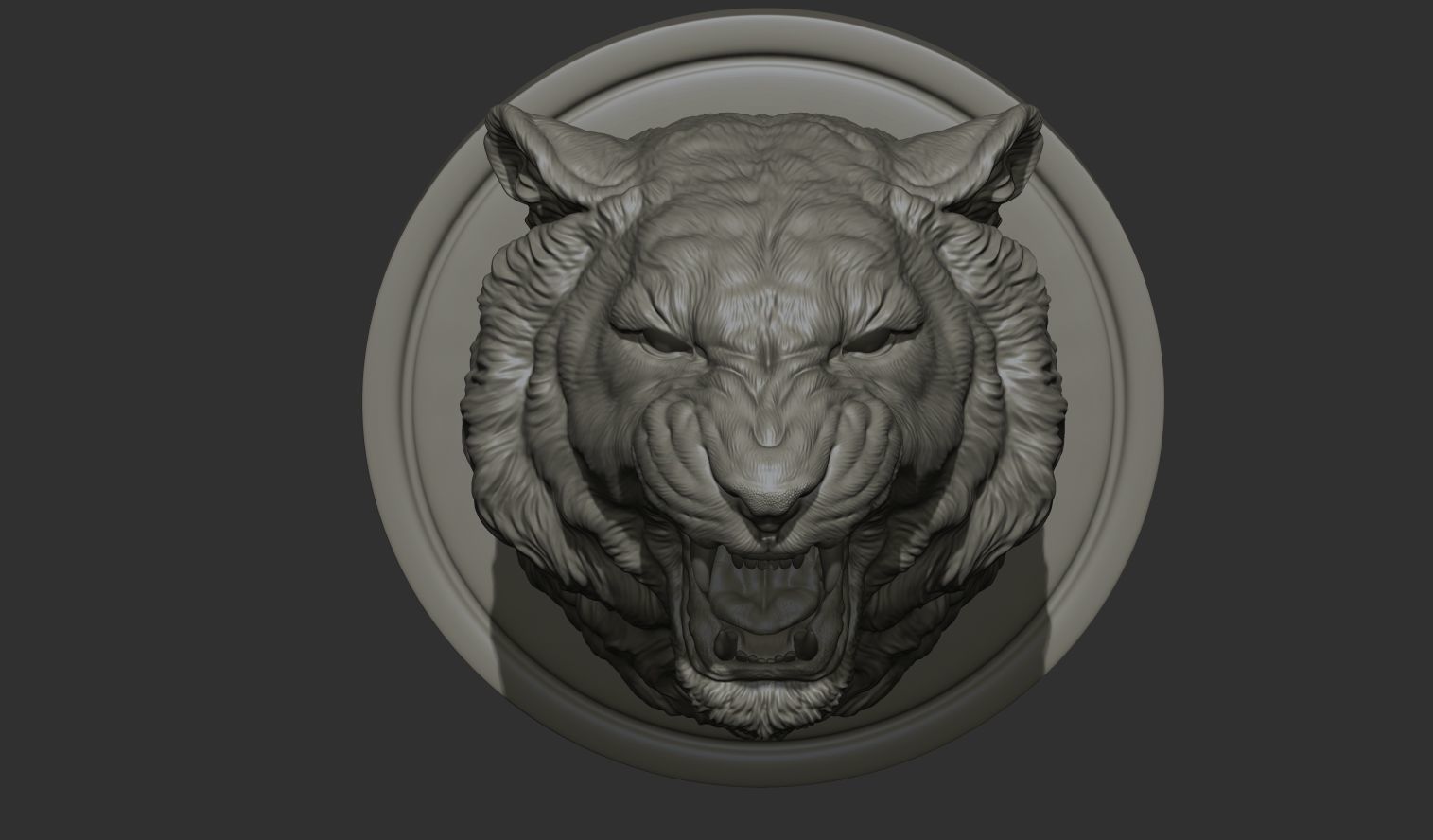 Tiger grin roar 3D print model_15