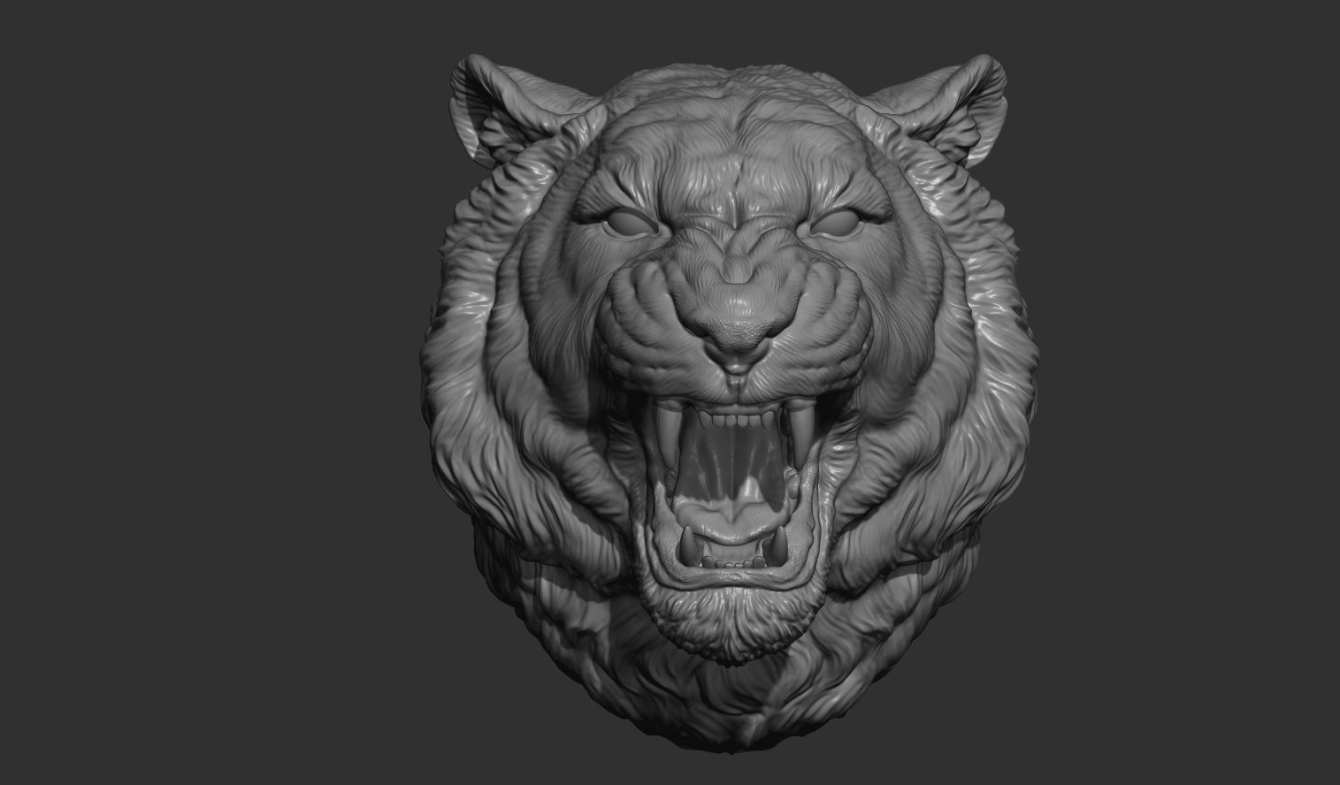 Tiger grin roar 3D print model_5