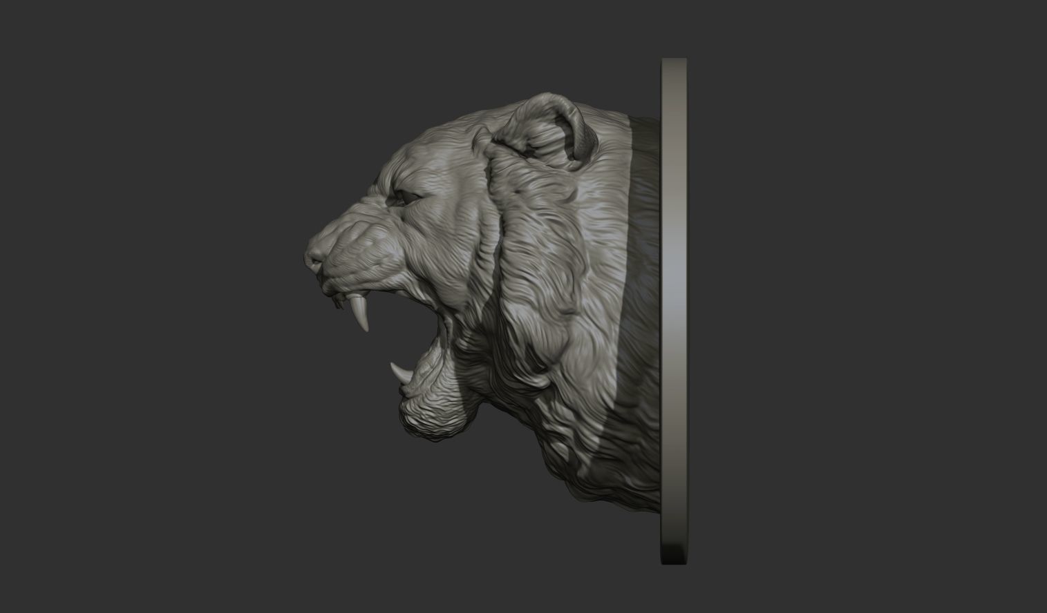 Tiger grin roar 3D print model_18