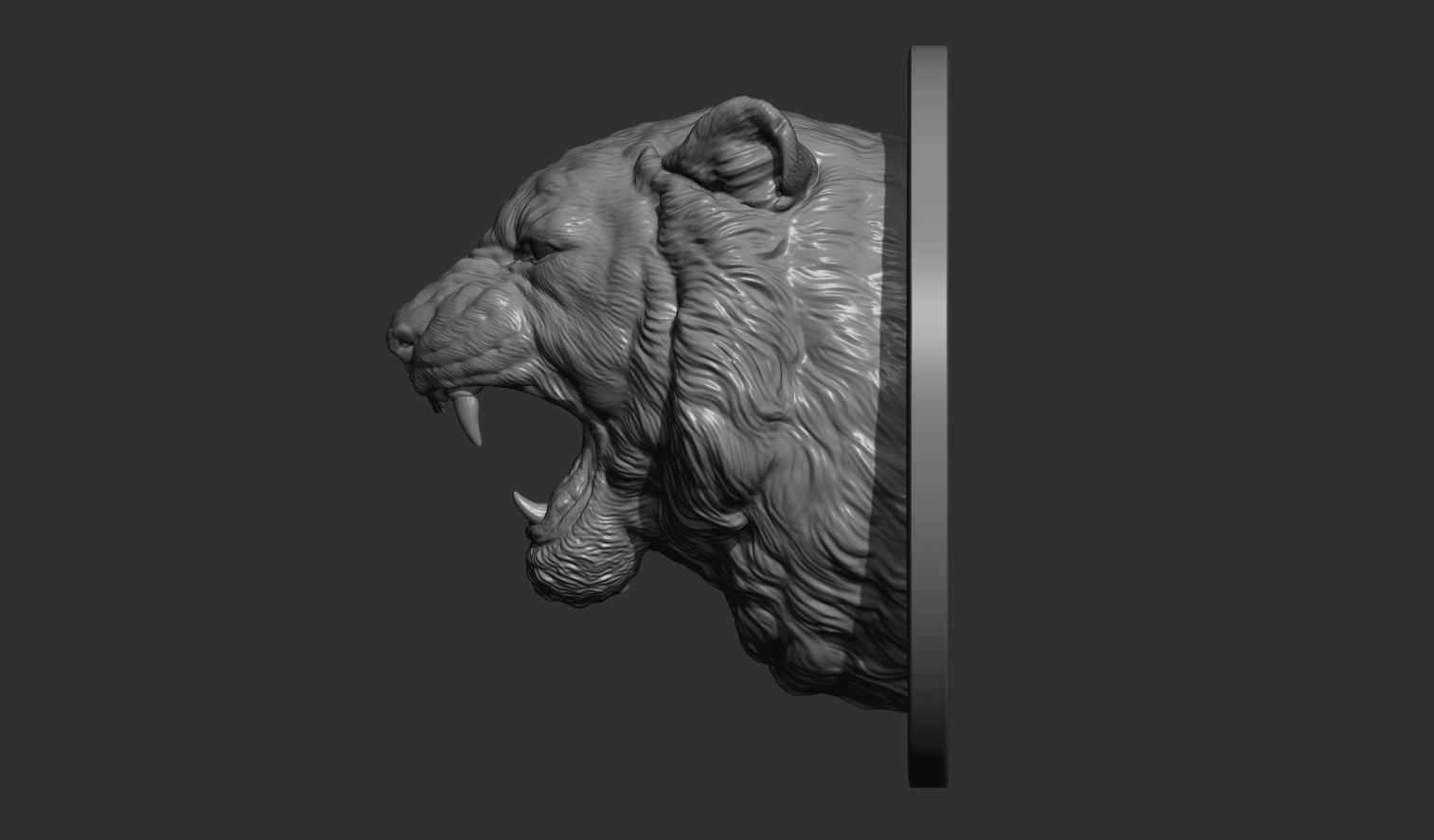 Tiger grin roar 3D print model_9