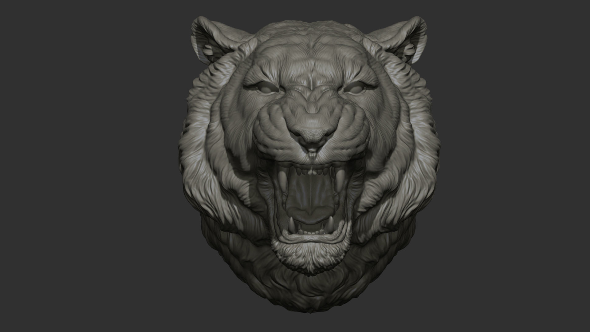 Tiger grin roar 3D print model_16