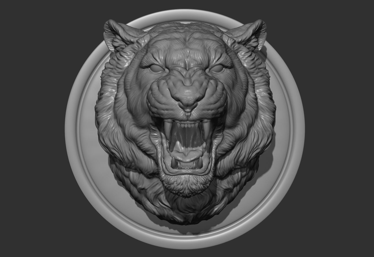 Tiger grin roar 3D print model_8