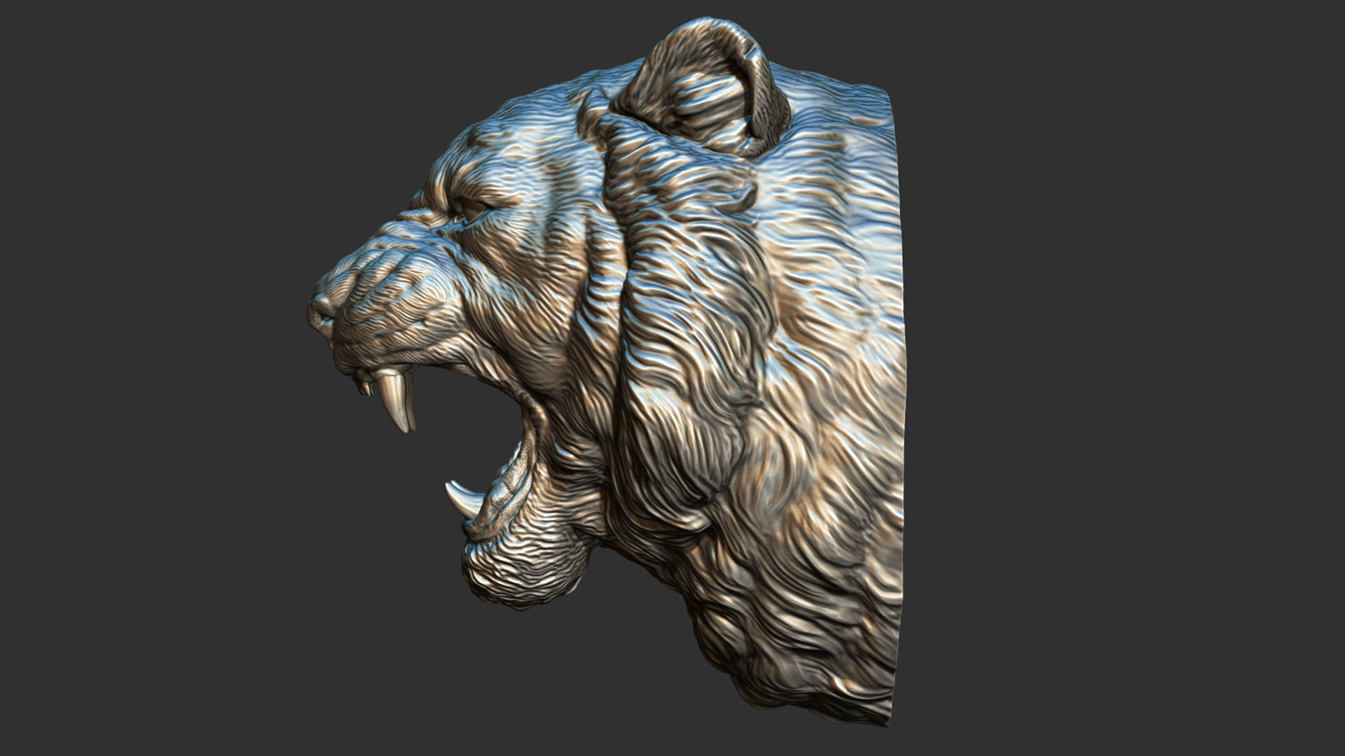 Tiger grin roar 3D print model_21