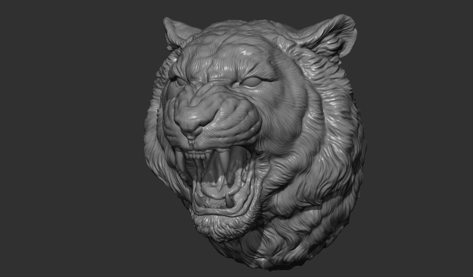 Tiger grin roar 3D print model_4