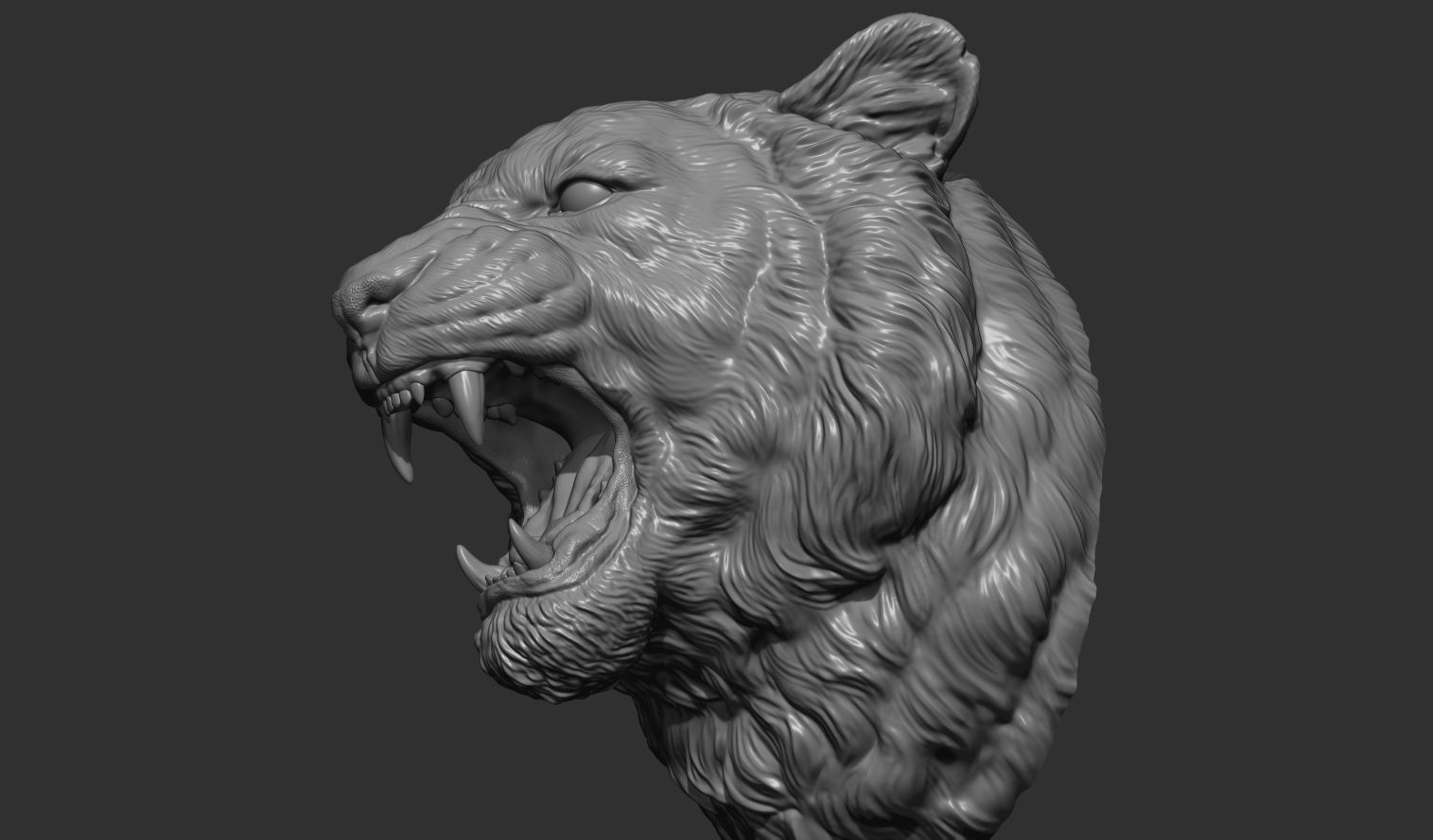 Tiger grin roar 3D print model_12