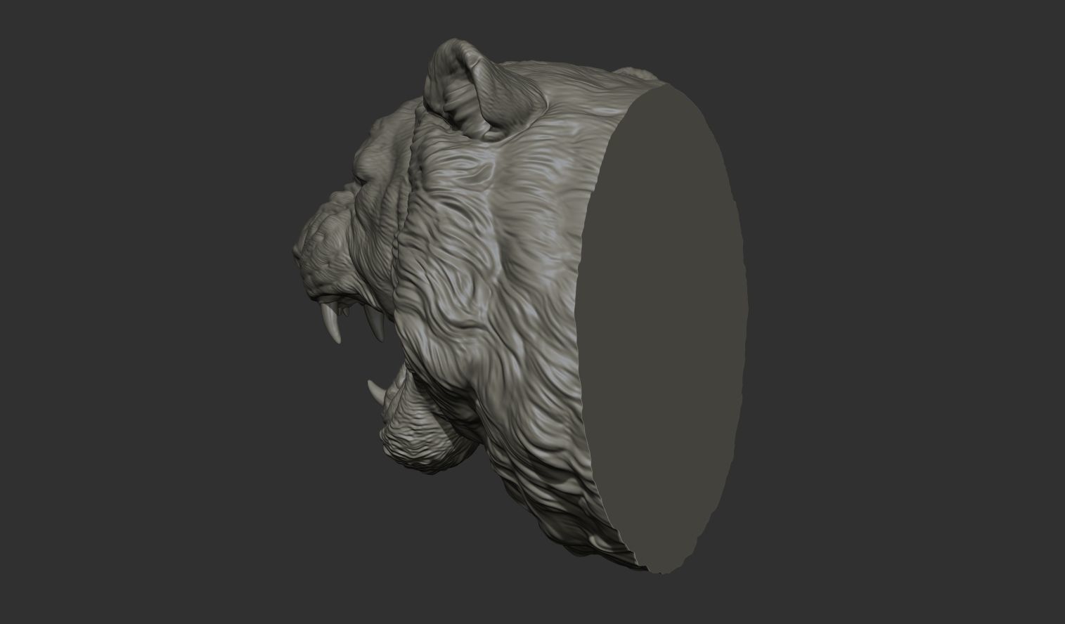 Tiger grin roar 3D print model_14
