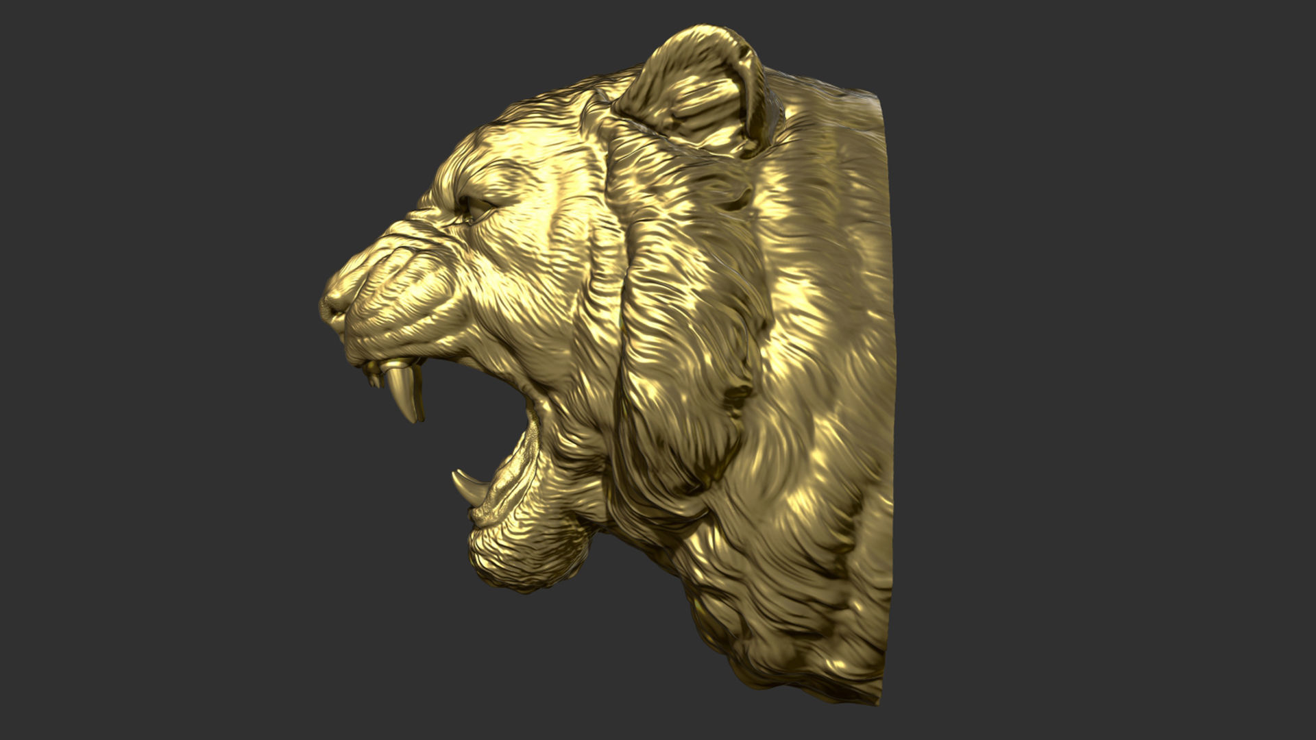 Tiger grin roar 3D print model_23
