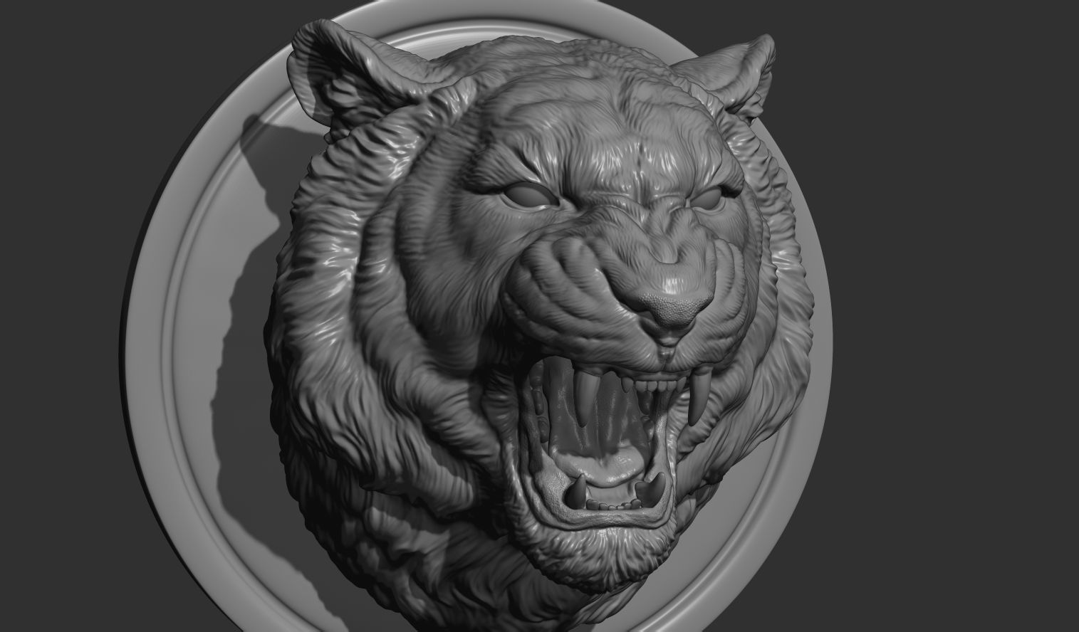 Tiger grin roar 3D print model_7