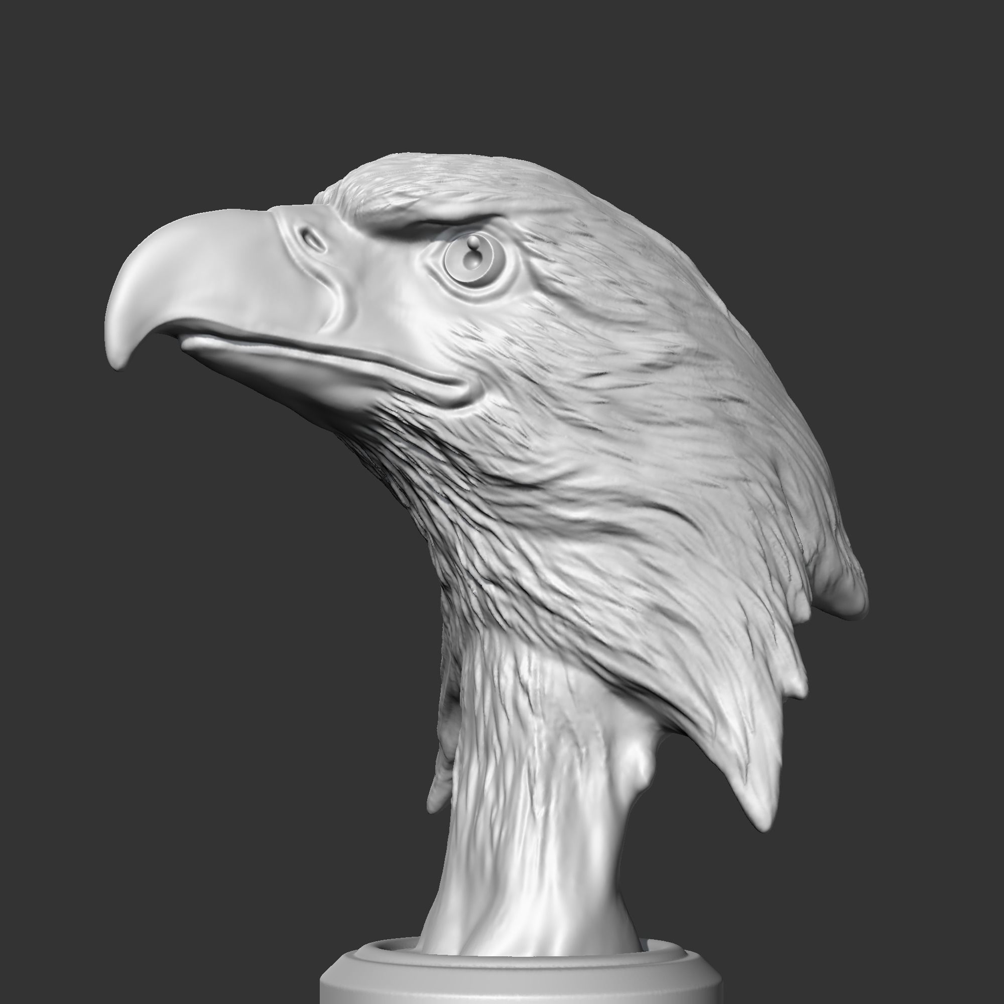 Bald Eagle Head AM07 3D print model 3D print model_5